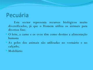 Pecuária  Este sector representa recursos biológicos muito diversificados, já que o Homem utiliza os animais para diversos fins:  O leite, a carne e os ovos têm como destino a alimentação humana As peles dos animais são utilizadas no vestuário e no calçado;  Mobiliário  