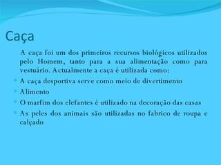 Caça  A caça foi um dos primeiros recursos biológicos utilizados pelo Homem, tanto para a sua alimentação como para vestuário. Actualmente a caça é utilizada como:  A caça desportiva serve como meio de divertimento Alimento  O marfim dos elefantes é utilizado na decoração das casas  As peles dos animais são utilizadas no fabrico de roupa e calçado 