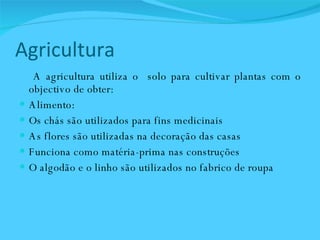 Agricultura  A agricultura utiliza o  solo para cultivar plantas com o objectivo de obter:  Alimento:  Os chás são utilizados para fins medicinais As flores são utilizadas na decoração das casas  Funciona como matéria-prima nas construções O algodão e o linho são utilizados no fabrico de roupa 