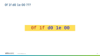 50©2019 VMware, Inc.
0f 1f d0 1e 00 ???
0f 1f d0 1e 00
 