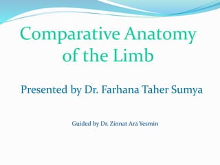 Comparative Anatomy
of the Limb
Presented by Dr. Farhana Taher Sumya
Guided by Dr. Zinnat Ara Yesmin
 