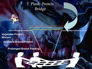 3 Plank Protein
Bridge
Available Animal Protein
Prolonged Breast Feeding
Vegetable Protein
Mixture
Safety Net
 