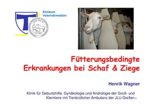 Klinikum
         Veterinärmedizin




            Fütterungsbedingte
Erkrankungen bei Schaf & Ziege

                                                  Henrik Wagner

Klinik für Geburtshilfe, Gynäkologie und Andrologie der Groß- und
             Kleintiere mit Tierärztlicher Ambulanz der JLU Gießen 1
 