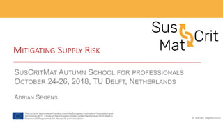 MITIGATING SUPPLY RISK
SUSCRITMAT AUTUMN SCHOOL FOR PROFESSIONALS
OCTOBER 24-26, 2018, TU DELFT, NETHERLANDS
ADRIAN SEGENS
© Adrian Segens2018
 