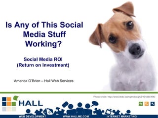 Is Any of This Social Media Stuff Working?   Photo credit: http://www.flickr.com/photos/jm3/194885496/ Social Media ROI  (Return on Investment)   Amanda O’Brien – Hall Web Services 