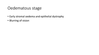 Oedematous stage
• Early stromal oedema and epithelial dystrophy
• Blurring of vision
 
