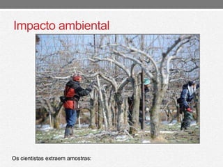 Impacto ambiental 
Os cientistas extraem amostras: 
 