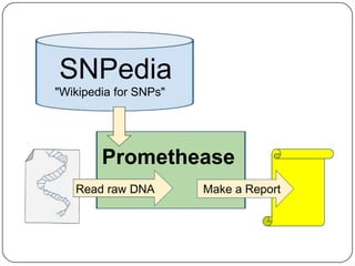 KiWi – Knowledge in a Wiki