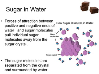 • Forces of attraction between
positive and negative ends of
water and sugar molecules
pull individual sugar
molecules away from the
sugar crystal.
• The sugar molecules are
separated from the crystal
and surrounded by water
Sugar in Water
 