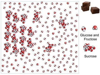 Sucrose
Glucose and
Fructose
 