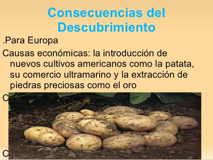 Introduccion Del Cafe En Europa Introduccion Del Cafe En Europa