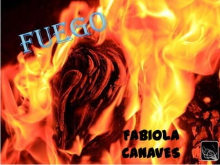 FUEGO FABIOLA CANAVES 