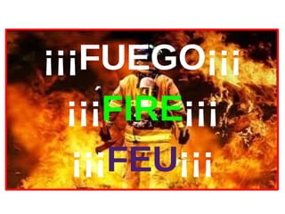 ¡¡¡FUEGO¡¡¡
  ¡¡¡FIRE¡¡¡
  ¡¡¡FEU¡¡¡
 