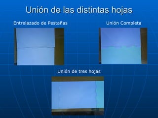 Unión de las distintas hojas Entrelazado de Pestañas Unión Completa Unión de tres hojas 