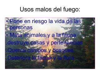 Usos malos del fuego: Pone en riesgo la vida de las personas  Mata animales y a la fauna .destruye casas y pertenencias .Quema campos y bosques .Deteriora la fauna y la flora 