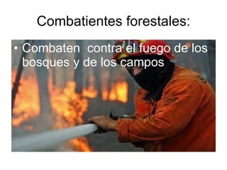 Combatientes forestales: Combaten  contra el fuego de los bosques y de los campos 