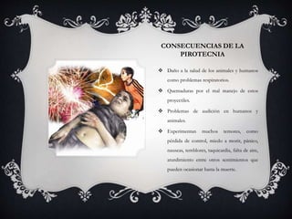 CONSECUENCIAS DE LA
PIROTECNIA
 Daño a la salud de los animales y humanos
como problemas respiratorios.
 Quemaduras por el mal manejo de estos
proyectiles.
 Problemas de audición en humanos y
animales.
 Experimentan muchos temores, como
pérdida de control, miedo a morir, pánico,
nauseas, temblores, taquicardia, falta de aire,
aturdimiento entre otros sentimientos que
pueden ocasionar hasta la muerte.
 