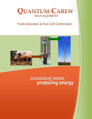 Fuels Generator & Fuel Cell Combination




         processing waste,
            producing energy
 