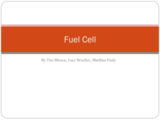 By Tim Miesen, Luce Beucher, Matthias Pauly Fuel Cell 