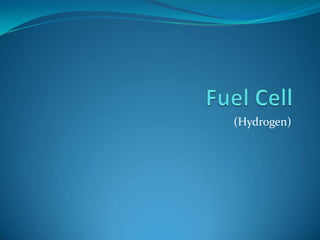 Fuel Cell (Hydrogen) 