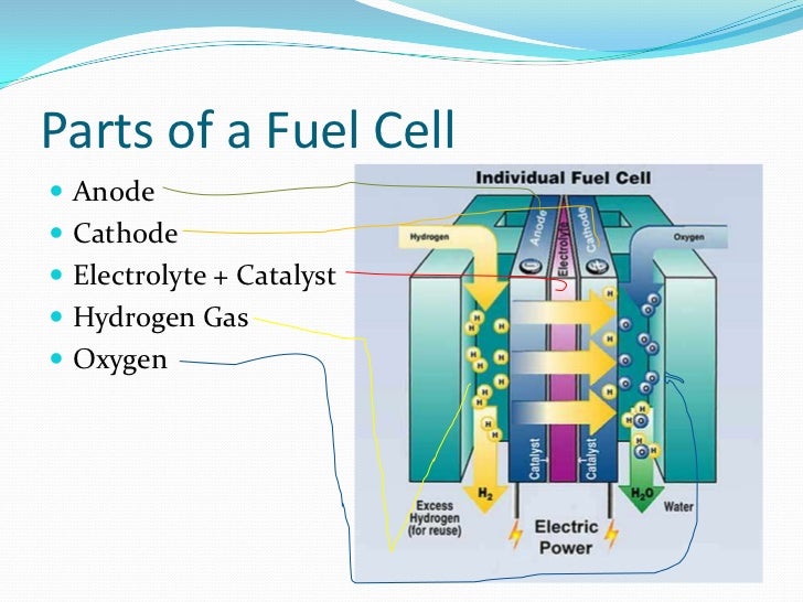 Fuel cell