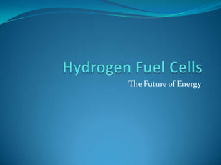 Hydrogen Fuel Cells The Future of Energy 