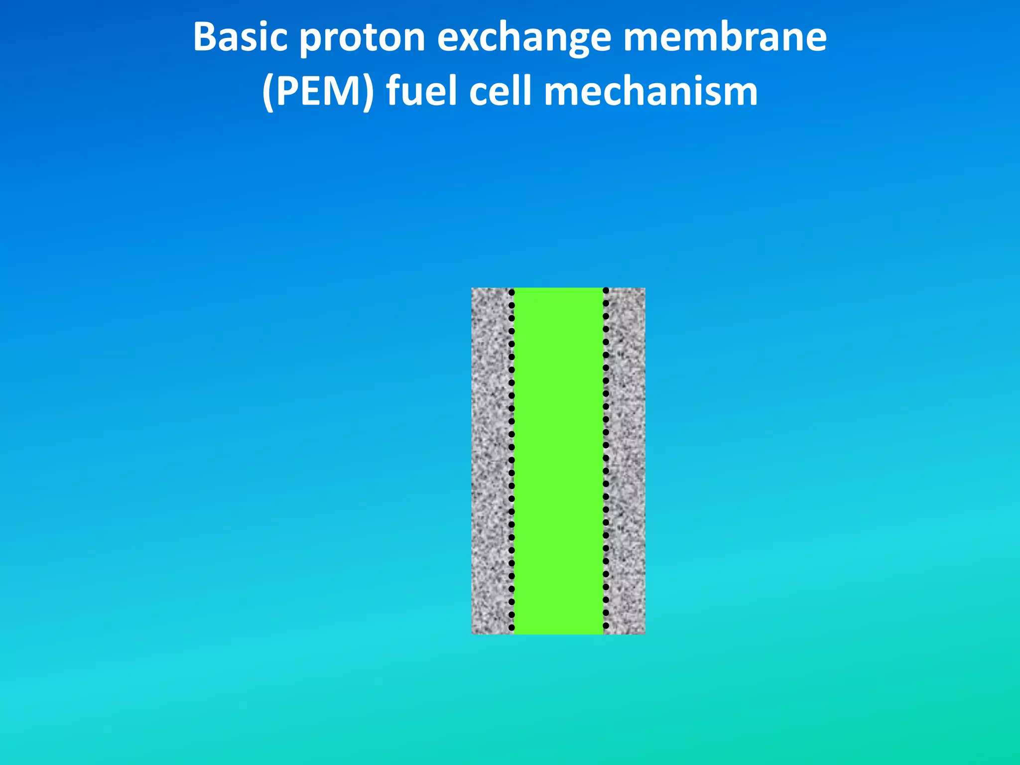 Basic proton exchange membrane
(PEM) fuel cell mechanism
 