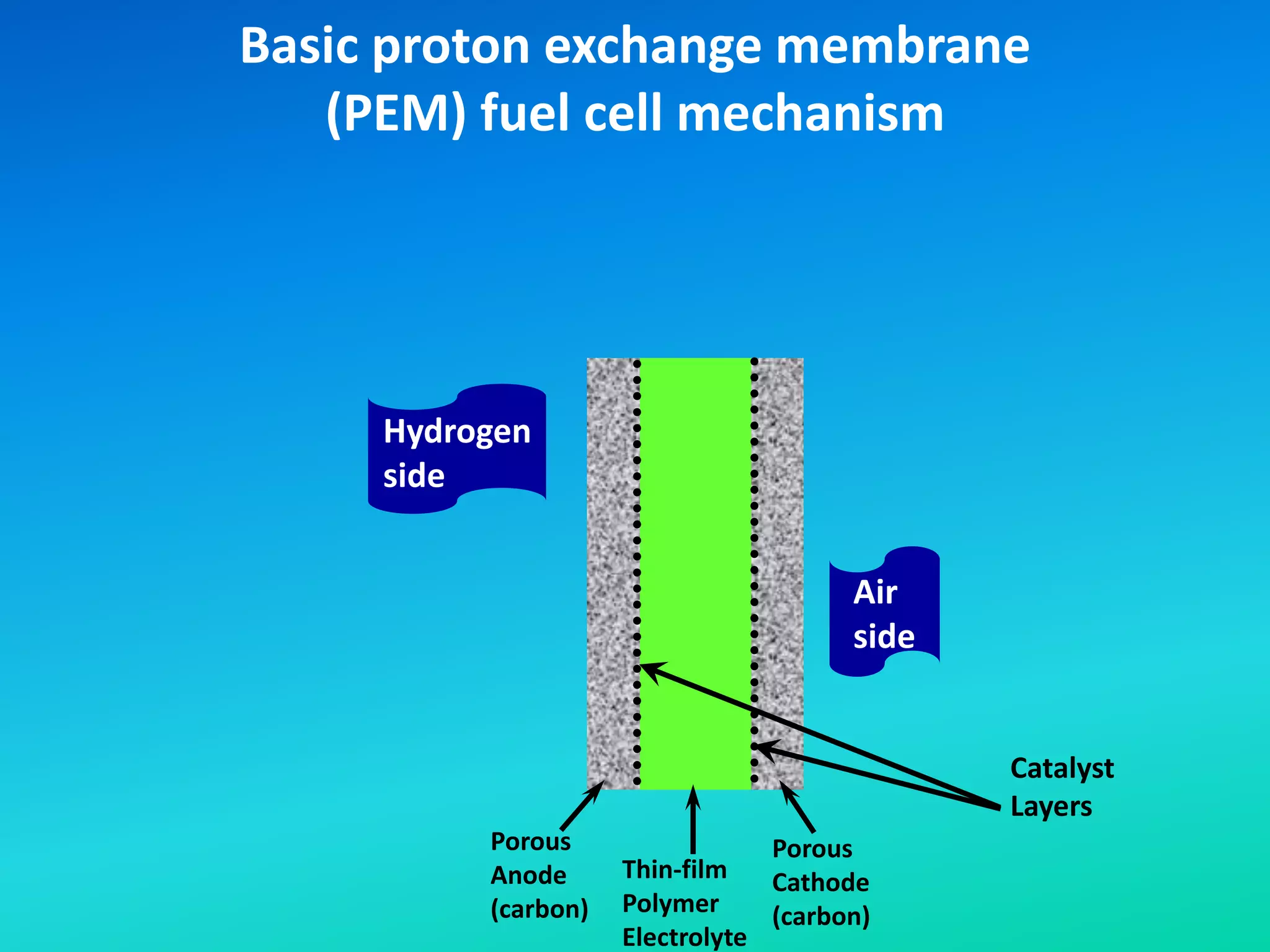 Basic proton exchange membrane
(PEM) fuel cell mechanism
Porous
Anode
(carbon)
Porous
Cathode
(carbon)
Thin-film
Polymer
Electrolyte
Catalyst
Layers
Hydrogen
side
Air
side
 