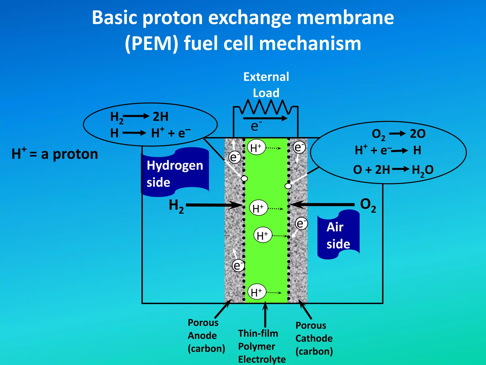 Basic proton exchange membrane
(PEM) fuel cell mechanism
H2
e-
External
Load
O2
H+
H+
H+
H+
Porous
Anode
(carbon)
Porous
Cathode
(carbon)
Thin-film
Polymer
Electrolyte
Hydrogen
side
Air
side
H+
= a proton e-
e-
e-
e-
O2 2O
H+
+ e
_
H
O + 2H H2O
H2 2H
H H+
+ e
_
 