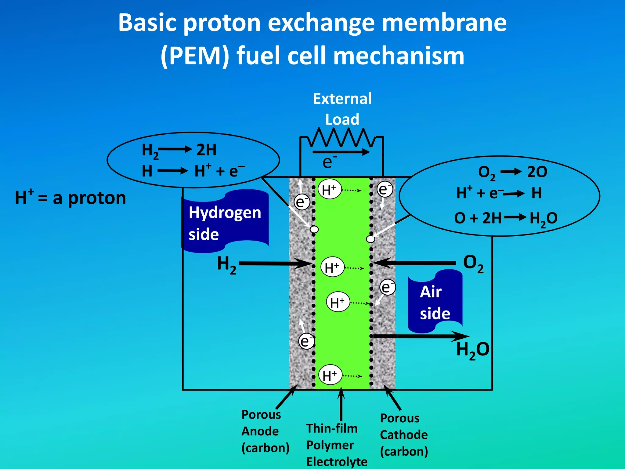 Basic proton exchange membrane
(PEM) fuel cell mechanism
H2O
H2
e-
External
Load
O2
H+
H+
H+
H+
Porous
Anode
(carbon)
Porous
Cathode
(carbon)
Thin-film
Polymer
Electrolyte
Hydrogen
side
Air
side
H+
= a proton e-
e-
e-
e-
O2 2O
H+
+ e
_
H
O + 2H H2O
H2 2H
H H+
+ e
_
 