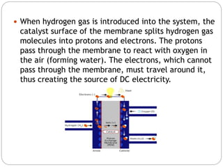  When hydrogen gas is introduced into the system, the
catalyst surface of the membrane splits hydrogen gas
molecules into protons and electrons. The protons
pass through the membrane to react with oxygen in
the air (forming water). The electrons, which cannot
pass through the membrane, must travel around it,
thus creating the source of DC electricity.
 