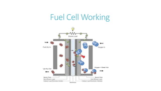 Fuel Cell Working
 