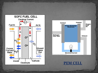 PEM CELL
 