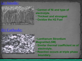 (a) Anode:
(b) Cathode:
• Cermet of Ni and type of
electrolyte.
• Thickest and strongest
• Oxidize the H2 Fuel
• Lanthanum Strontium
Magnetite(LSM)
• Similar thermal coefficient as of
electrolyte.
• Reaction occurs at triple phase
boundary.
 