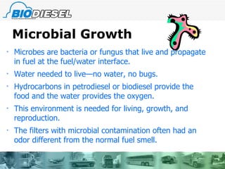 Microbial Growth Microbes are bacteria or fungus that live and propagate in fuel at the fuel/water interface. Water needed to live—no water, no bugs. Hydrocarbons in petrodiesel or biodiesel provide the food and the water provides the oxygen. This environment is needed for living, growth, and reproduction. The filters with microbial contamination often had an odor different from the normal fuel smell. 