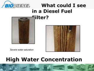 What could I see in a Diesel Fuel Filter?   Severe water saturation High Water Concentration 