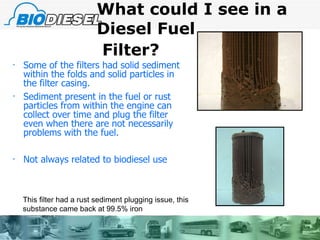 What could I see in a  Diesel Fuel  Filter?   Some of the filters had solid sediment within the folds and solid particles in the filter casing.  Sediment present in the fuel or rust particles from within the engine can collect over time and plug the filter even when there are not necessarily problems with the fuel. Not always related to biodiesel use This filter had a rust sediment plugging issue, this substance came back at 99.5% iron 