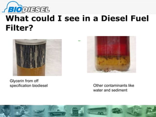 What could I see in a Diesel Fuel Filter? Glycerin from off specification biodiesel Other contaminants like water and sediment 