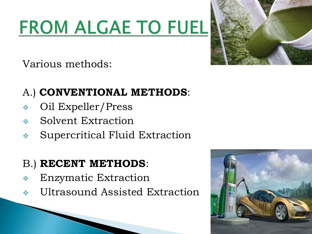 Fuel From Algae