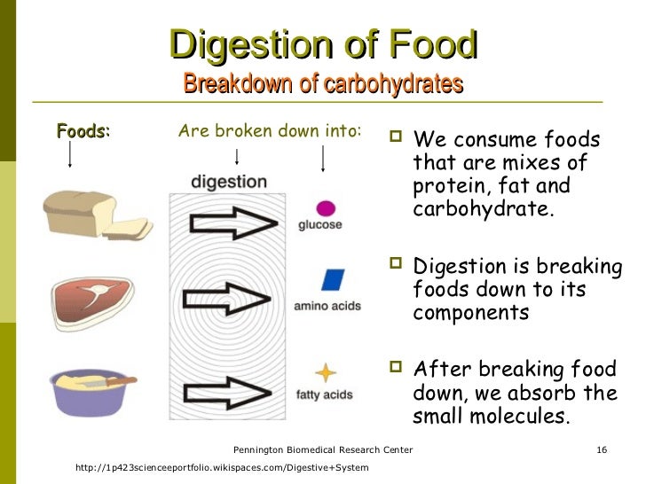 What are carbohydrates broken down into?