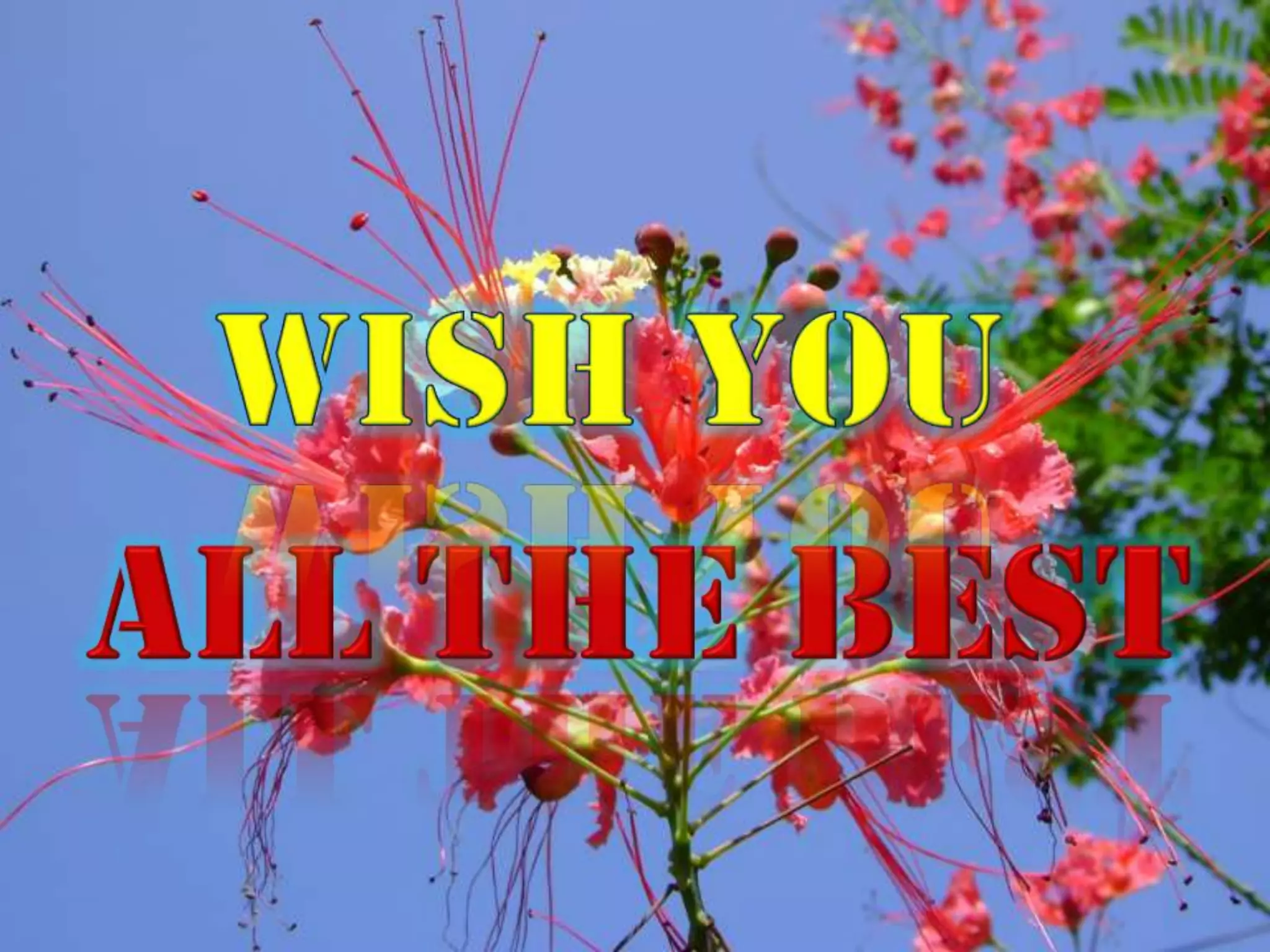 Fuels-Dr. Surendran Parambadath