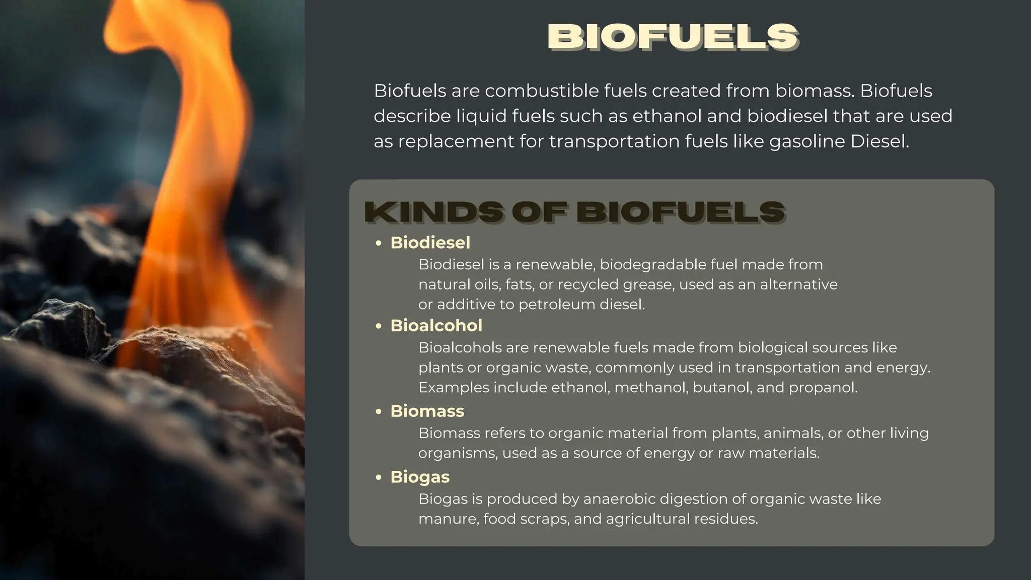 Any material that can be burned or consumed to produce energy | PDF