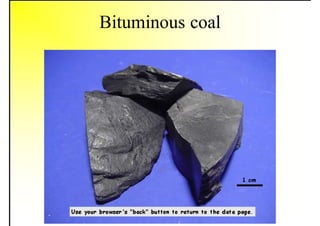 Bituminous coal
 