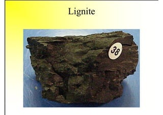 Lignite
 