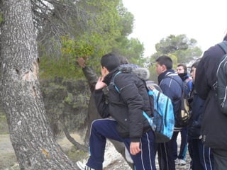 Fuendetodos'12