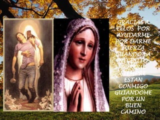 • CA detención y aborto de la acción son vacunas que
  detentan el virus y detienen acciones que causa el
  virus
• Cb comparación con firmas son vacunas que
  comparan las firmas de archivos sospechosos para
  saber si están infectados
• CC Invocado por el usuario son vacunas que se
  activan instantáneamente por el usuario
• CC invocado por el sistema son vacunas que se
  activan instantáneamente por la actividad del sistema
  Windows xp/ vista
 