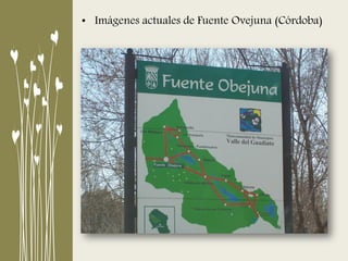 • Imágenes actuales de Fuente Ovejuna (Córdoba)
 