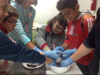 Fuenterroble acogida