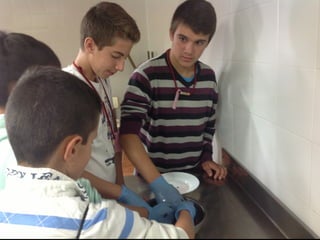 Fuenterroble acogida