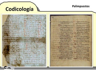 Codicología
Palimpsestos
 